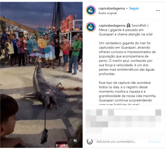 Foto da notícia