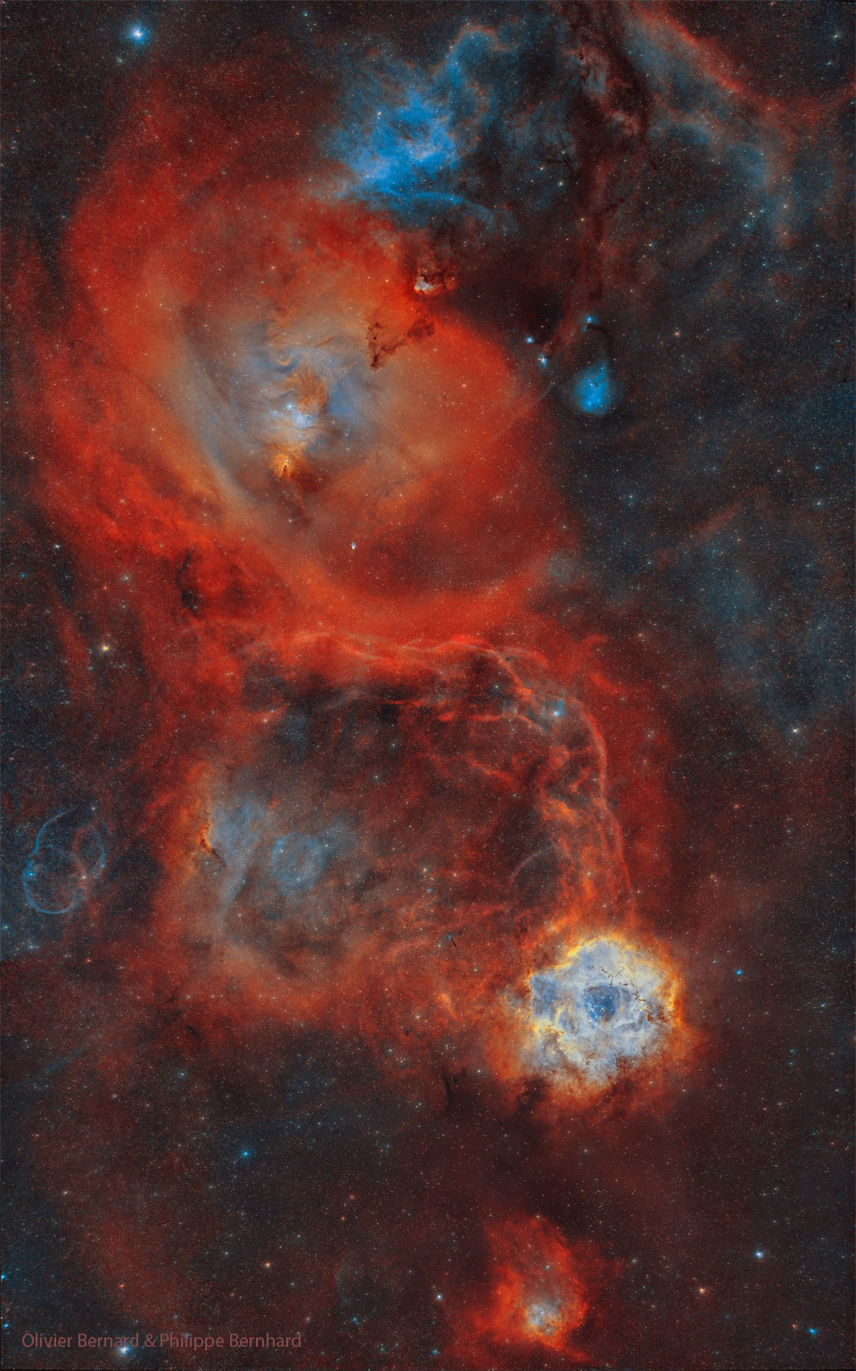 Roseta Campo Profundo