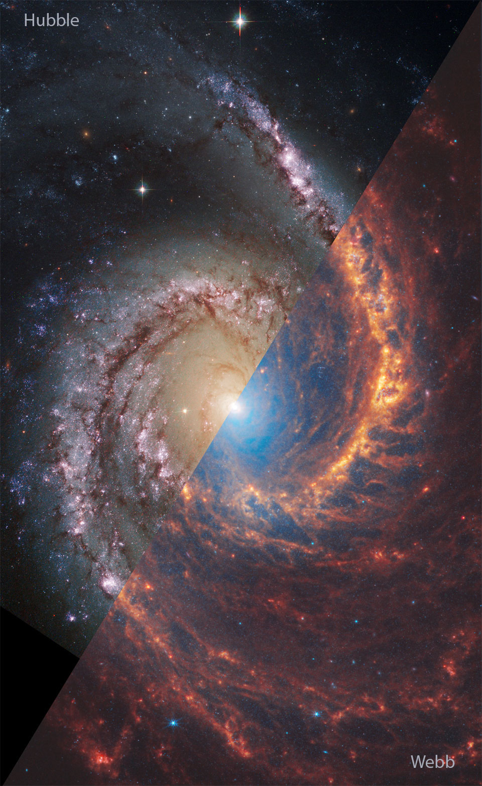NGC 1566: Uma galáxia espiral de Webb e Hubble