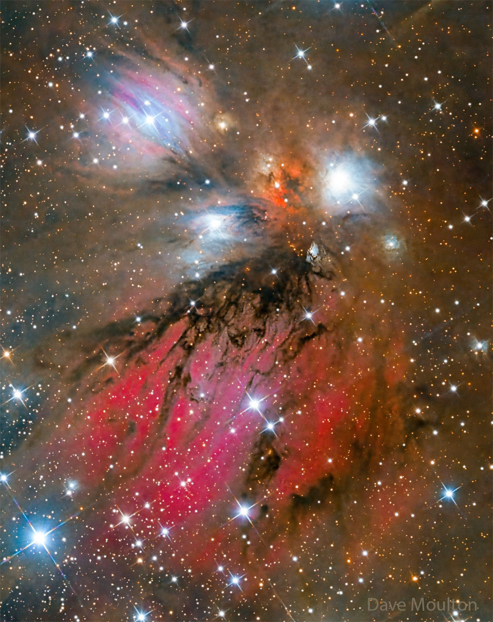 NGC 2170: Arte Abstrata da Nebulosa do Anjo