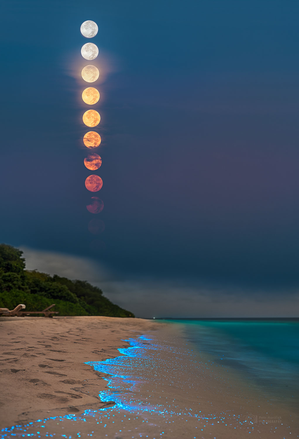 Uma lua cheia de plâncton