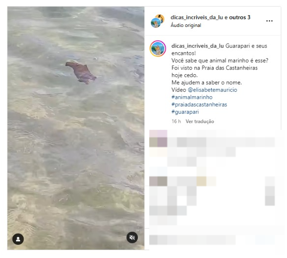 Foto da notícia